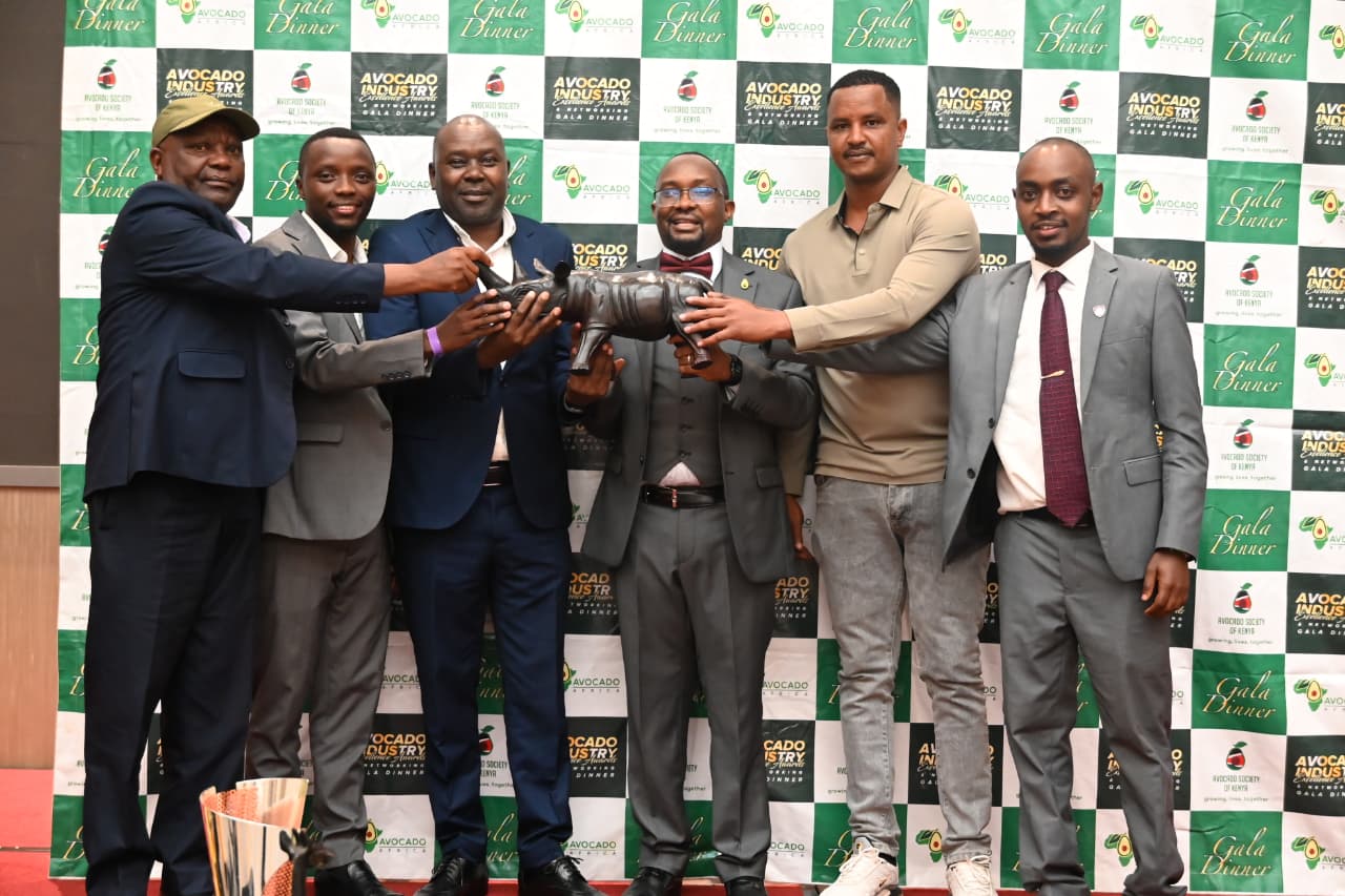 Sergeants Consulting Limited Wins Development Partner of the Year Award 2025